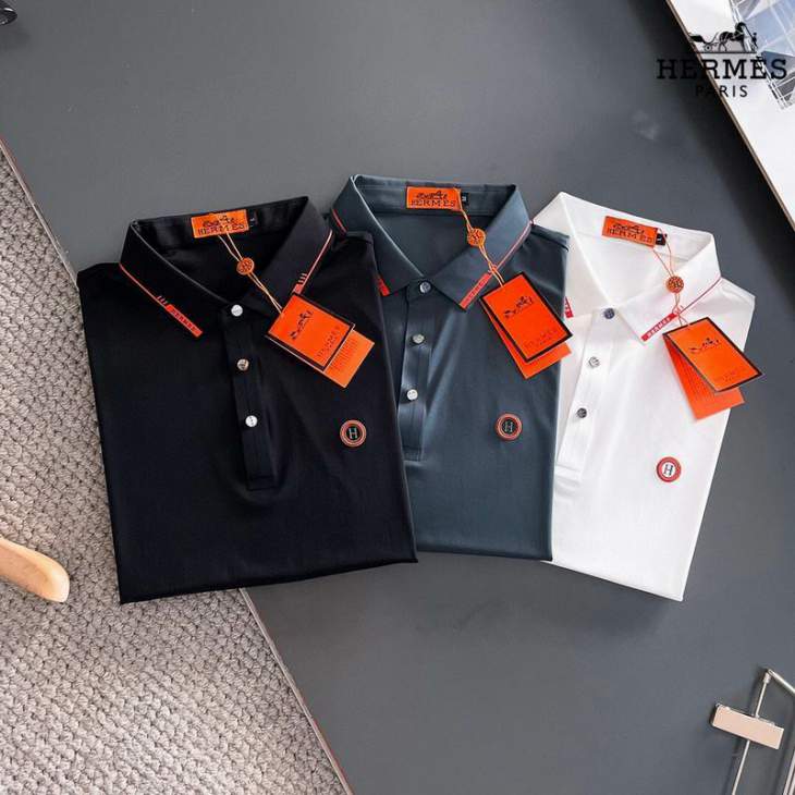 Picture of Hermes Polo Shirts Short _SKUHermesM-4XL24cr6227224